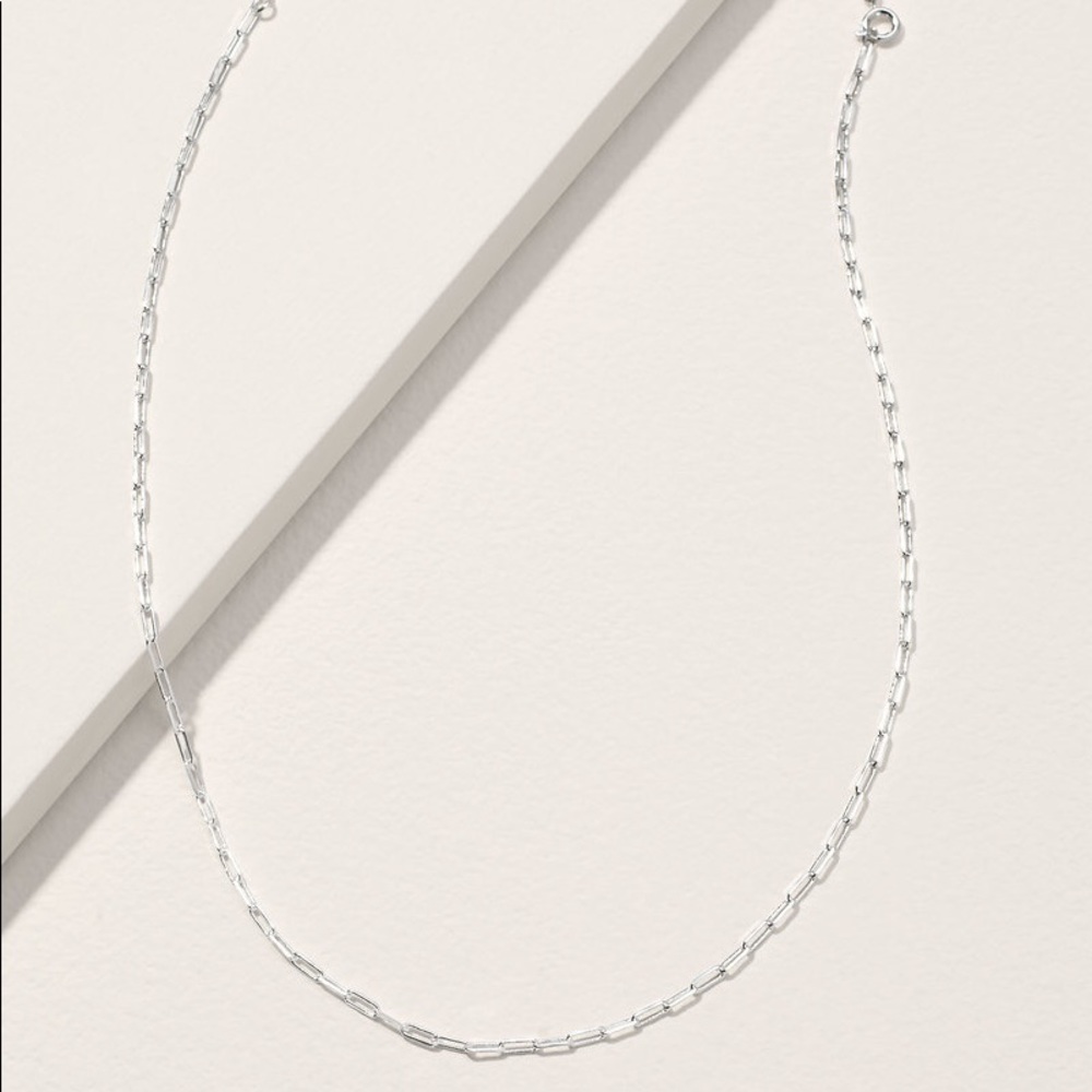 *Short Delicate Chain in Silver* STELLA & DOT~Retired Brand New (without box)